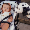 Sheepskin Snugglers "Dalmatian"