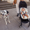 Sheepskin Snugglers "Dalmatian"