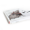 Babybuch "Meine ersten Monate"