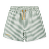 UPF40+ Swim Shorts "Duke Board Shorts Stripe Peppermint / Crisp White"