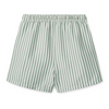 UPF40+ Swim Shorts "Duke Board Shorts Stripe Peppermint / Crisp White"