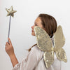 Feenflügel "Sparkle Sequin Wings"