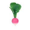Beissring "Ramona the Radish"