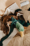 Kuscheltier & Wärmekissen "Erpel", klein