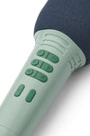 Karaoke Microphone "Beinta Peppermint Mix"